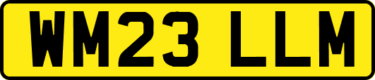 WM23LLM