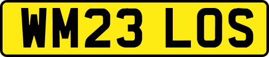 WM23LOS