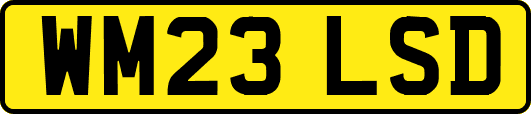 WM23LSD