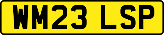 WM23LSP