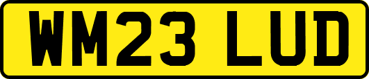 WM23LUD