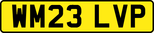WM23LVP
