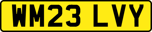 WM23LVY