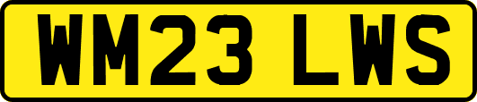WM23LWS