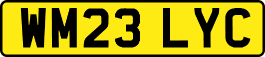 WM23LYC