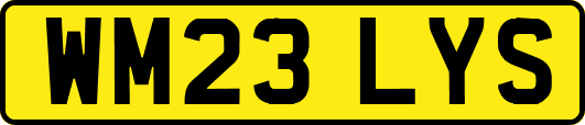 WM23LYS