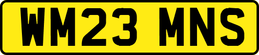 WM23MNS