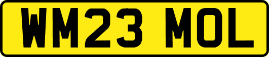 WM23MOL