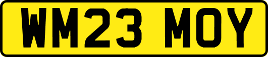 WM23MOY