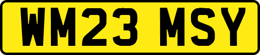 WM23MSY