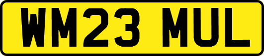 WM23MUL