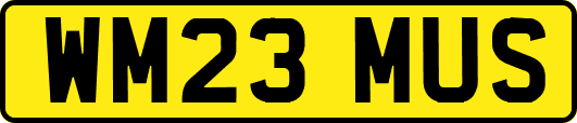 WM23MUS
