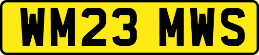 WM23MWS