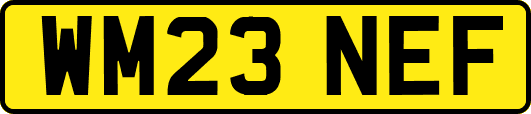 WM23NEF