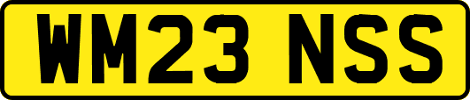 WM23NSS