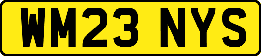 WM23NYS