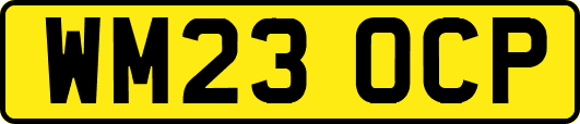 WM23OCP