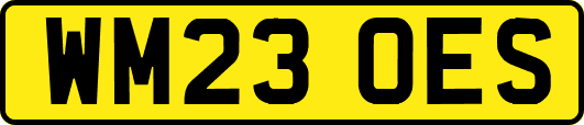 WM23OES