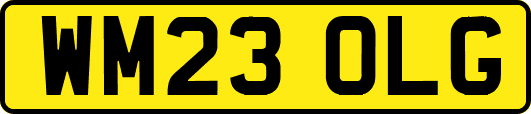 WM23OLG