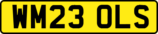 WM23OLS