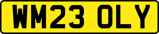 WM23OLY