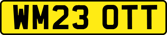 WM23OTT