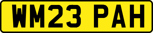WM23PAH