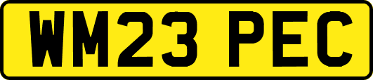WM23PEC