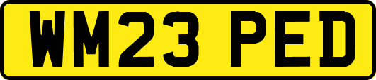 WM23PED