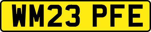 WM23PFE