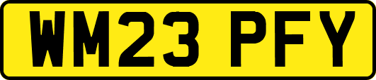 WM23PFY