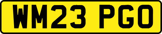 WM23PGO