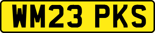 WM23PKS