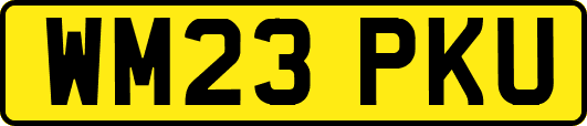WM23PKU