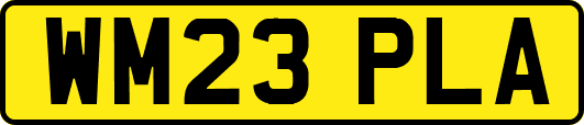 WM23PLA