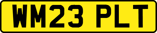 WM23PLT