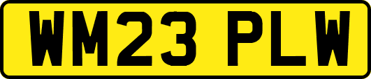 WM23PLW