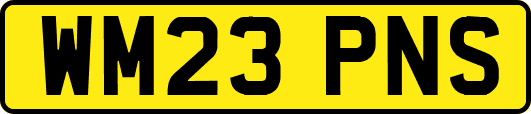 WM23PNS