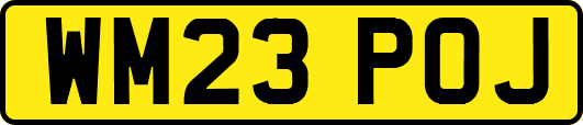 WM23POJ