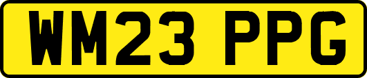 WM23PPG
