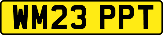 WM23PPT