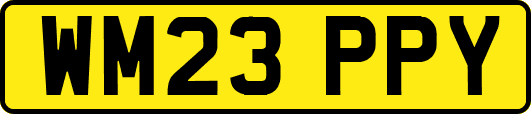 WM23PPY