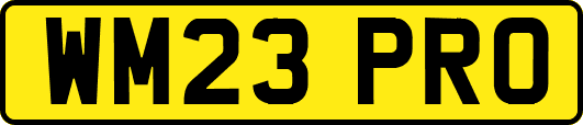 WM23PRO