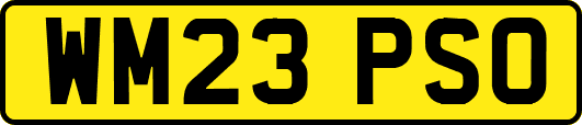 WM23PSO