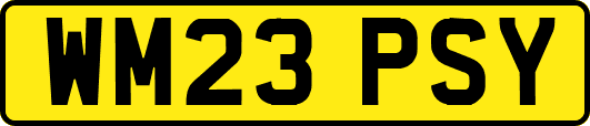 WM23PSY