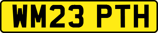WM23PTH