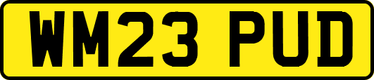WM23PUD