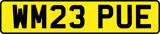 WM23PUE