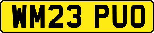 WM23PUO