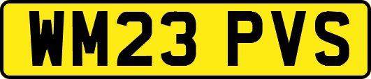 WM23PVS